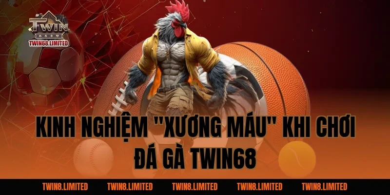 Kinh Nghiệm "Xương Máu" Khi Chơi Đá Gà TWIN68